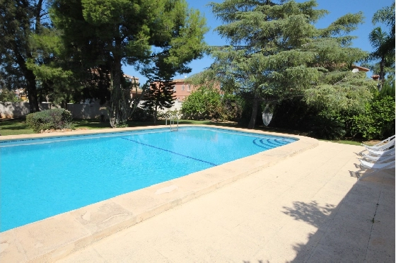 Finca in Ondara zur Ferienvermietung, Espace de vie 360 m², Baujahr 1983, Terrain 2200 m², 4 Chambres &agrave; coucher, 4 Badezimmer, ref.: V-0517-4