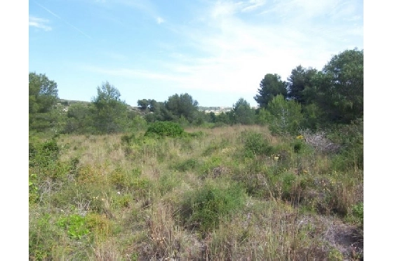 Wohngrundstück in Moraira(Alcazar) zu verkaufen, Klimaanlage, Terrain 20000 m², Pool, ref.: BI-MT.G-184-3