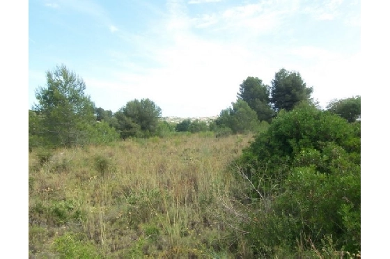 Wohngrundstück in Moraira(Alcazar) zu verkaufen, Klimaanlage, Terrain 20000 m², Pool, ref.: BI-MT.G-184-4