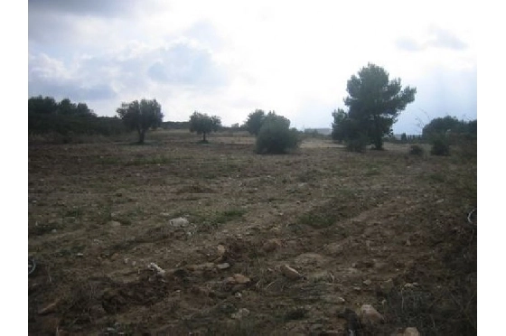 Finca in Benissa(Partida Canor) zu verkaufen, Espace de vie 60 m², Klimaanlage, Terrain 17000 m², Pool, ref.: BI-BE.F-163-4