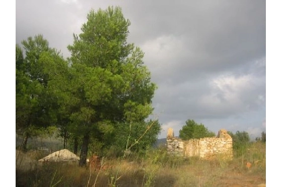 Finca in Benissa(Partida Canor) zu verkaufen, Espace de vie 60 m², Klimaanlage, Terrain 17000 m², Pool, ref.: BI-BE.F-163-8