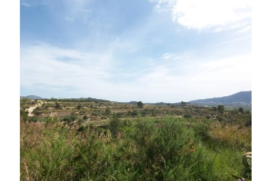 Wohngrundstück in Teulada(Partida Churra) zu verkaufen, Klimaanlage, Terrain 14000 m², Pool, ref.: BI-MT.G-183-4