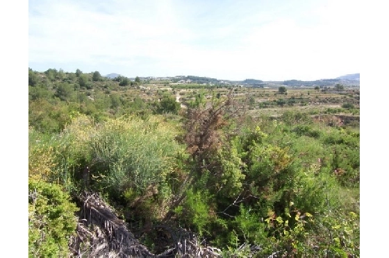 Wohngrundstück in Teulada(Partida Churra) zu verkaufen, Klimaanlage, Terrain 14000 m², Pool, ref.: BI-MT.G-183-8
