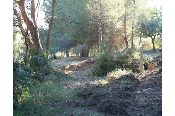 Wohngrundstück in Benitachell(Campo) zu verkaufen, Klimaanlage, Terrain 10723 m², Pool, ref.: BI-BX.G-011-4