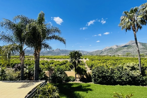 Villa in Tormos zu verkaufen, Espace de vie 300 m², Baujahr 2007, Zustand gepflegt, + Zentralheizung, Klimaanlage, Terrain 13000 m², 4 Chambres &agrave; coucher, 4 Badezimmer, Pool, ref.: JS-0724-32
