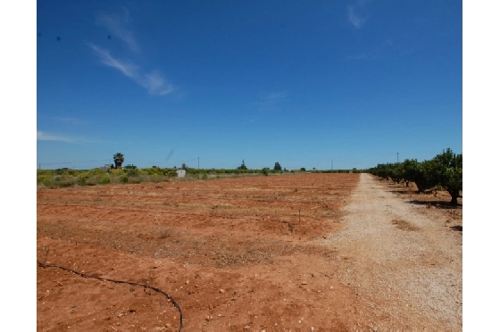 Wohngrundstück in Pego zu verkaufen, Klimaanlage, Terrain 22224 m², Pool, ref.: O-V47014-8