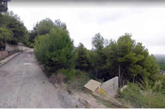 Wohngrundstück in Pego zu verkaufen, Terrain 1093 m², ref.: IM-1818-2