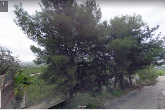 Wohngrundstück in Pego zu verkaufen, Terrain 1093 m², ref.: IM-1818-3