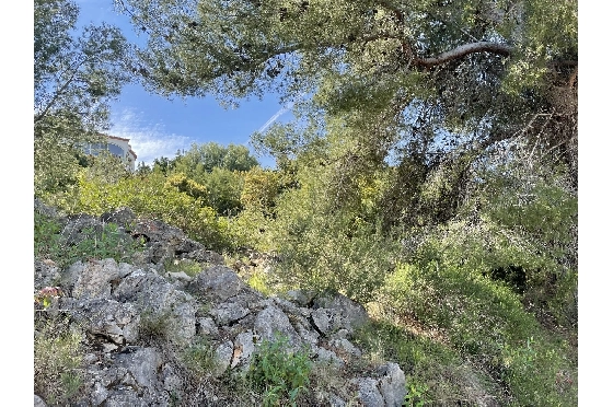 Wohngrundstück in Pego(Monte Pego) zu verkaufen, Terrain 1603 m², ref.: SC-D0821-5