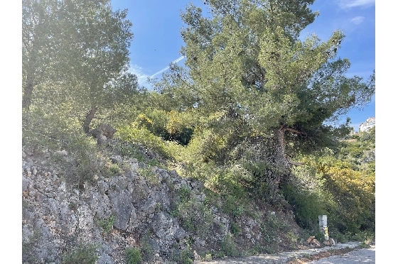 Wohngrundstück in Pego(Monte Pego) zu verkaufen, Terrain 1603 m², ref.: SC-D0821-6
