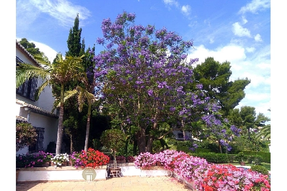 Villa in Javea zu verkaufen, Espace de vie 500 m², + Zentralheizung, Klimaanlage, Terrain 3000 m², 6 Chambres &agrave; coucher, 5 Badezimmer, Pool, ref.: MV-2471-15