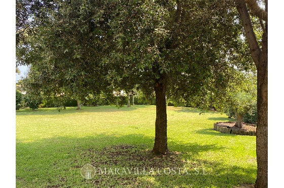 Villa in Javea zu verkaufen, Espace de vie 500 m², + Zentralheizung, Klimaanlage, Terrain 3000 m², 6 Chambres &agrave; coucher, 5 Badezimmer, Pool, ref.: MV-2471-5