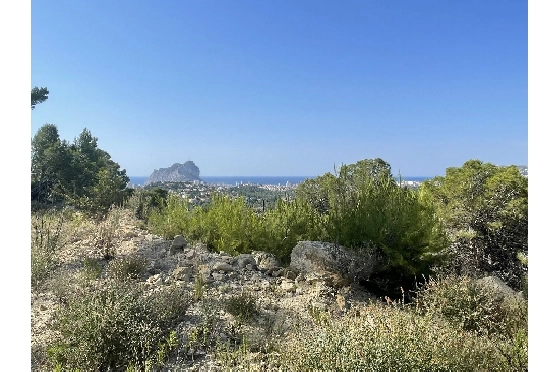 Wohngrundstück in Calpe(La Empedrola) zu verkaufen, Klimaanlage, Terrain 2000 m², Pool, ref.: BI-CA.G-080-1