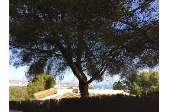 Wohngrundstück in Javea zu verkaufen, Espace de vie 1000 m², ref.: BS-3974848-6