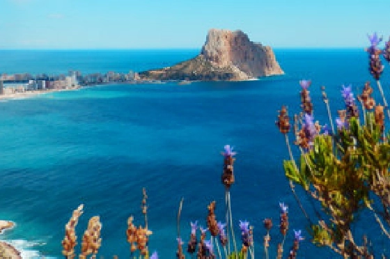 Wohngrundstück in Calpe zu verkaufen, Espace de vie 17211 m², ref.: BS-4183355-5