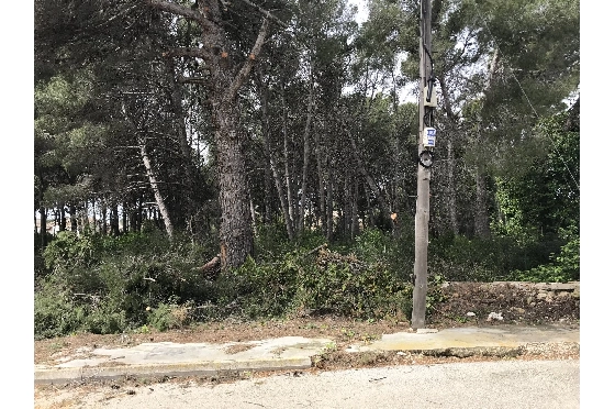 Wohngrundstück in Javea zu verkaufen, Espace de vie 3514 m², ref.: BS-5275788-3