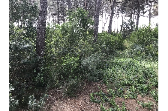 Wohngrundstück in Javea zu verkaufen, Espace de vie 3514 m², ref.: BS-5275788-5