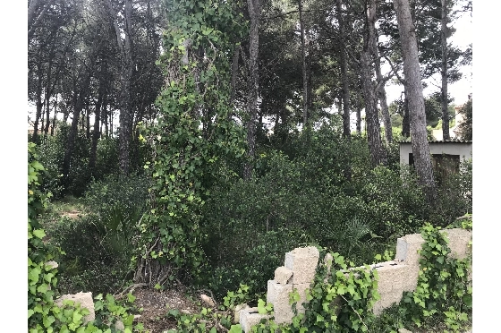 Wohngrundstück in Javea zu verkaufen, Espace de vie 3514 m², ref.: BS-5275788-6