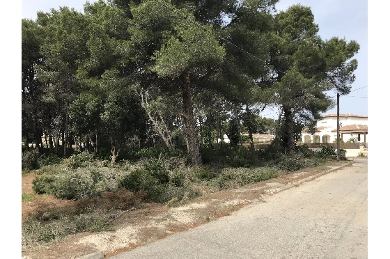 Wohngrundstück in Javea zu verkaufen, Espace de vie 3514 m², ref.: BS-5275788-7