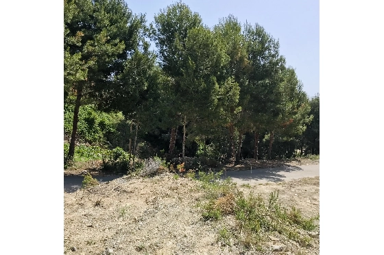 Wohngrundstück in Javea zu verkaufen, Espace de vie 3737 m², ref.: BS-5513658-4
