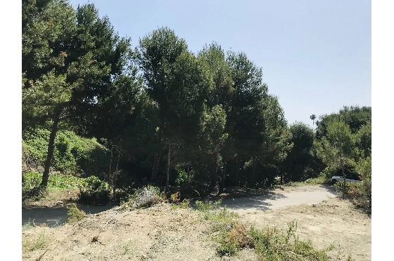 Wohngrundstück in Javea zu verkaufen, Espace de vie 3737 m², ref.: BS-5513658-7