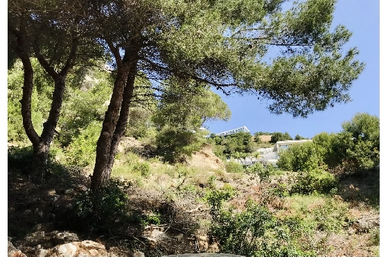 Wohngrundstück in Javea zu verkaufen, Espace de vie 3737 m², ref.: BS-5513658-9