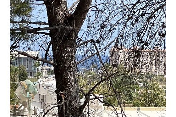 Wohngrundstück in Javea zu verkaufen, Espace de vie 1642 m², ref.: BS-5923950-1