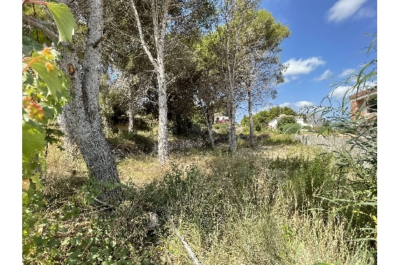Wohngrundstück in Javea zu verkaufen, Espace de vie 1642 m², ref.: BS-5923950-8