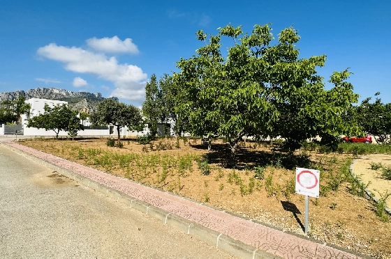 Wohngrundstück in Els Poblets zu verkaufen, Terrain 990 m², ref.: AS-0723-9