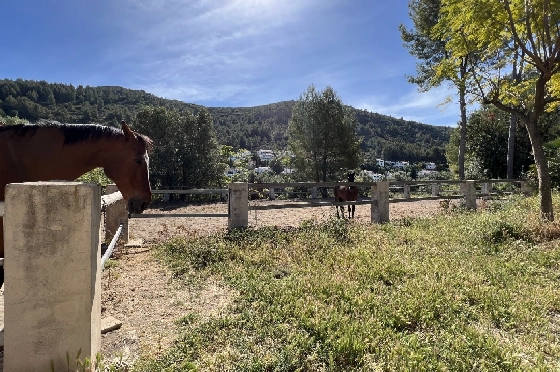 Finca in Orba zu verkaufen, Espace de vie 300 m², Baujahr 2000, + Ofen, Terrain 17241 m², 4 Chambres &agrave; coucher, 2 Badezimmer, Pool, ref.: SB-2423-34