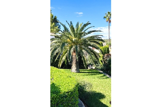 Villa in Denia(Marquesa 6) zu verkaufen, Espace de vie 227 m², Baujahr 1995, Zustand modernisiert, + Zentralheizung, Klimaanlage, Terrain 913 m², 3 Chambres &agrave; coucher, 2 Badezimmer, Pool, ref.: AS-2423-63
