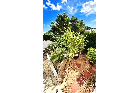 Villa in Denia(Marquesa 6) zu verkaufen, Espace de vie 227 m², Baujahr 1995, Zustand modernisiert, + Zentralheizung, Klimaanlage, Terrain 913 m², 3 Chambres &agrave; coucher, 2 Badezimmer, Pool, ref.: AS-2423-64