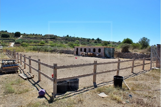Wohngrundstück in Benissa zu verkaufen, Terrain 11141 m², ref.: NL-NLD1495-1