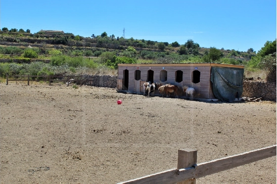 Wohngrundstück in Benissa zu verkaufen, Terrain 11141 m², ref.: NL-NLD1495-12