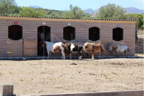 Wohngrundstück in Benissa zu verkaufen, Terrain 11141 m², ref.: NL-NLD1495-2
