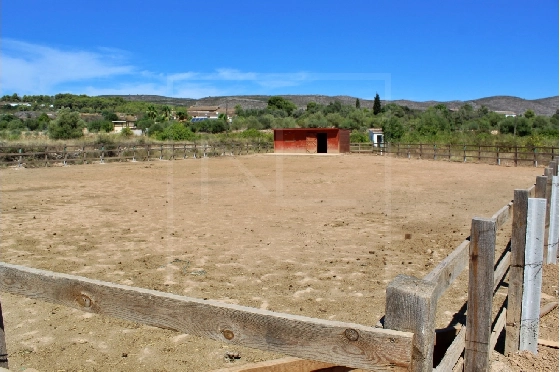 Wohngrundstück in Benissa zu verkaufen, Terrain 11141 m², ref.: NL-NLD1495-5