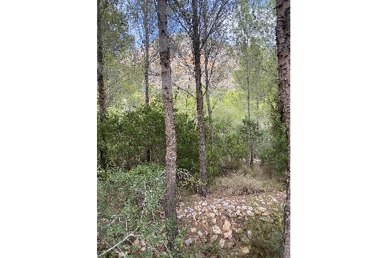Wohngrundstück in Javea zu verkaufen, Espace de vie 1542 m², ref.: BS-83474967-3