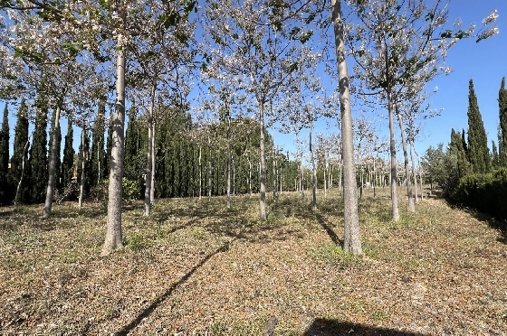 Finca in Pedreguer zu verkaufen, Espace de vie 400 m², + KLIMA, Terrain 12000 m², 2 Chambres &agrave; coucher, 2 Badezimmer, ref.: JS-0624-12