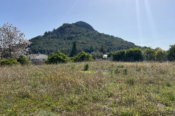 Finca in Pedreguer zu verkaufen, Espace de vie 400 m², + KLIMA, Terrain 12000 m², 2 Chambres &agrave; coucher, 2 Badezimmer, ref.: JS-0624-15