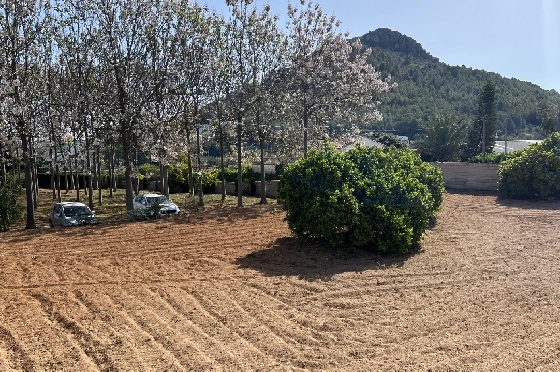 Finca in Pedreguer zu verkaufen, Espace de vie 400 m², + KLIMA, Terrain 12000 m², 2 Chambres &agrave; coucher, 2 Badezimmer, ref.: JS-0624-36