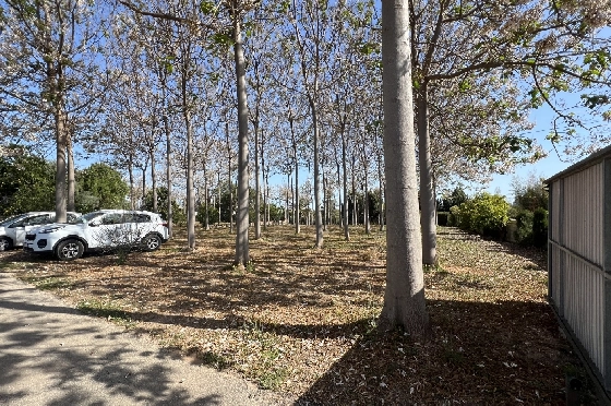 Finca in Pedreguer zu verkaufen, Espace de vie 400 m², + KLIMA, Terrain 12000 m², 2 Chambres &agrave; coucher, 2 Badezimmer, ref.: JS-0624-38