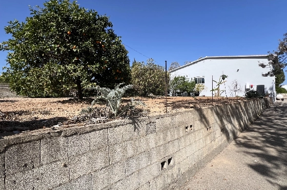 Finca in Pedreguer zu verkaufen, Espace de vie 400 m², + KLIMA, Terrain 12000 m², 2 Chambres &agrave; coucher, 2 Badezimmer, ref.: JS-0624-9