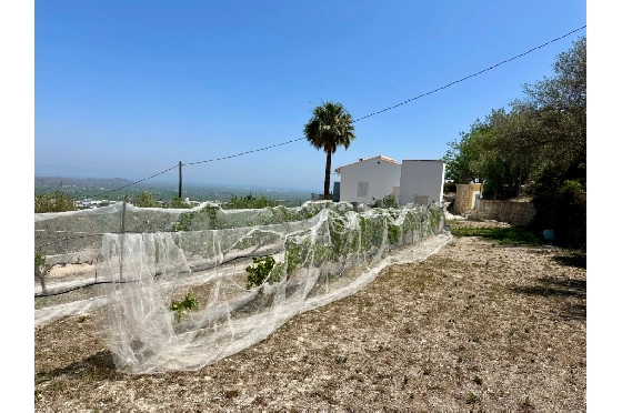 Finca in Pego zu verkaufen, Espace de vie 83 m², Baujahr 1947, Klimaanlage, Terrain 7080 m², 2 Chambres &agrave; coucher, 1 Badezimmer, Pool, ref.: O-V91914-11