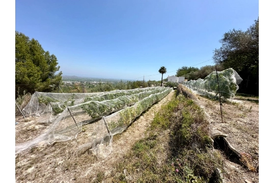 Finca in Pego zu verkaufen, Espace de vie 83 m², Baujahr 1947, Klimaanlage, Terrain 7080 m², 2 Chambres &agrave; coucher, 1 Badezimmer, Pool, ref.: O-V91914-12