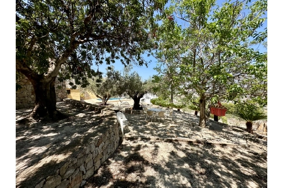 Finca in Pego zu verkaufen, Espace de vie 83 m², Baujahr 1947, Klimaanlage, Terrain 7080 m², 2 Chambres &agrave; coucher, 1 Badezimmer, Pool, ref.: O-V91914-6