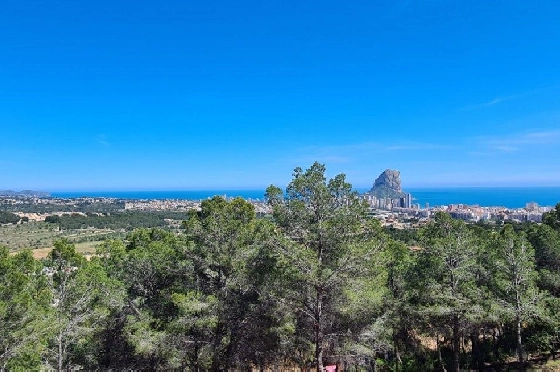 Wohngrundstück in Calpe zu verkaufen, Klimaanlage, Terrain 5150 m², Pool, ref.: AM-11749NS-2