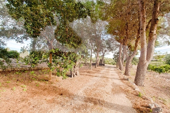 Finca in Gata de Gorgos zu verkaufen, Espace de vie 450 m², Baujahr 1900, + Ofen, Klimaanlage, Terrain 20000 m², 4 Chambres &agrave; coucher, 2 Badezimmer, Pool, ref.: AM-11846DA-14
