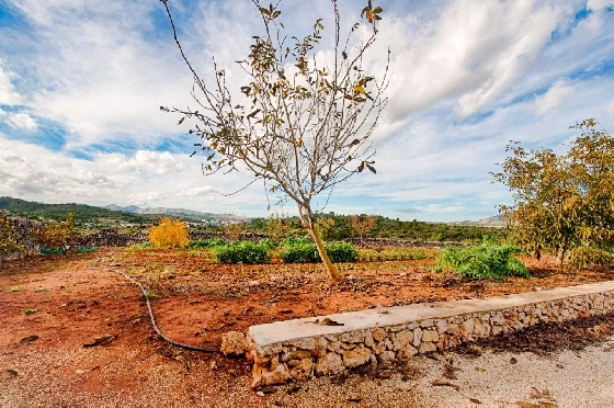 Finca in Gata de Gorgos zu verkaufen, Espace de vie 450 m², Baujahr 1900, + Ofen, Klimaanlage, Terrain 20000 m², 4 Chambres &agrave; coucher, 2 Badezimmer, Pool, ref.: AM-11846DA-20