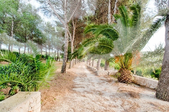 Finca in Gata de Gorgos zu verkaufen, Espace de vie 450 m², Baujahr 1900, + Ofen, Klimaanlage, Terrain 20000 m², 4 Chambres &agrave; coucher, 2 Badezimmer, Pool, ref.: AM-11846DA-22