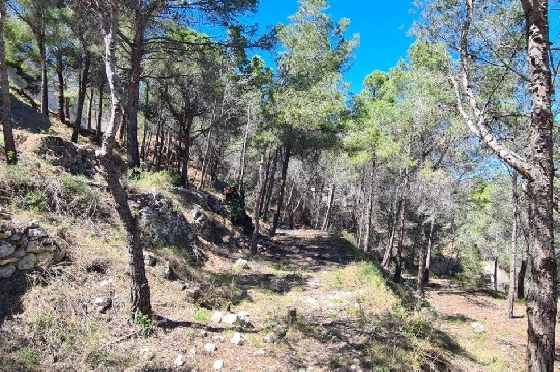 Wohngrundstück in Calpe zu verkaufen, Klimaanlage, Terrain 2500 m², Pool, ref.: AM-11750NS-4